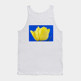 Tulipa  &#39;Monte Carlo&#39;  AGM  Double Early Tulip Tank Top